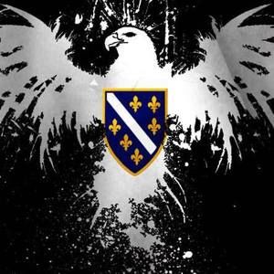 Meet your Posher, Damir